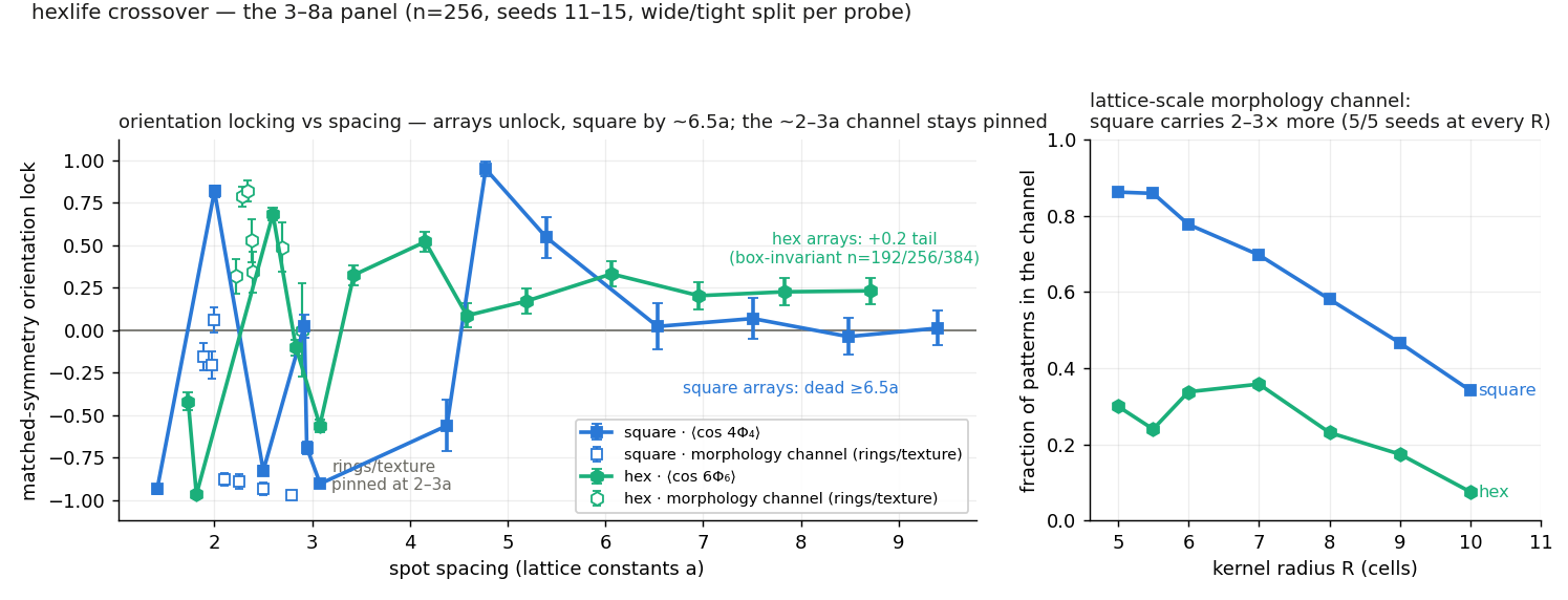 Orientation locking against spot spacing: square arrays unlock by about 6.5 lattice constants, hexagonal arrays keep a weak +0.2 lock; a second panel shows a morphology channel by kernel radius